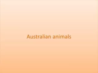Australian animals