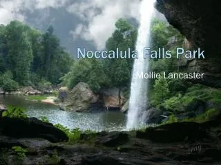 Noccalula Falls Park