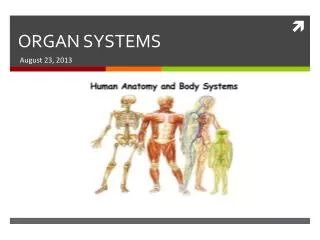 organ systems
