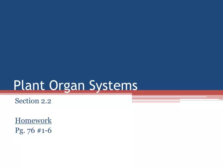 plant organ systems