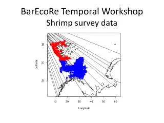 BarEcoRe Temporal Workshop Shrimp survey data