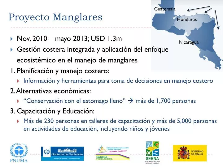 proyecto manglares