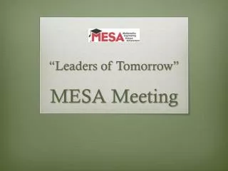 MESA Meeting