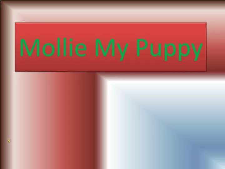 mollie my puppy