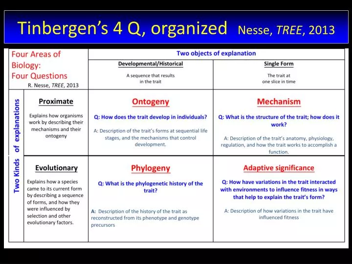 tinbergen s 4 q organized nesse tree 2013