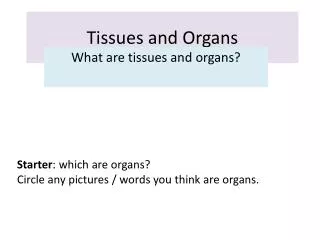 Tissues and Organs