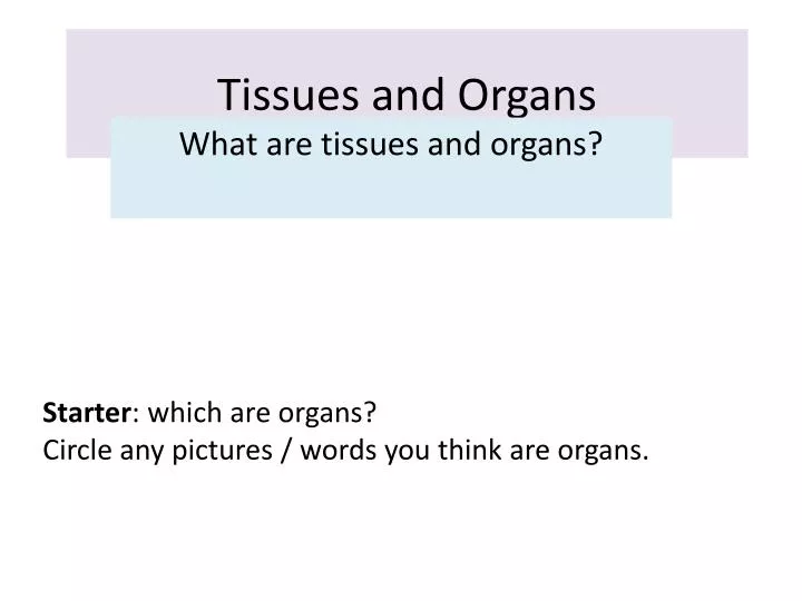 tissues and organs