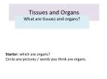 Tissues and Organs - slide 1