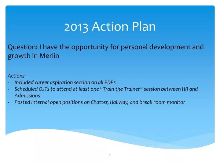 2013 action plan
