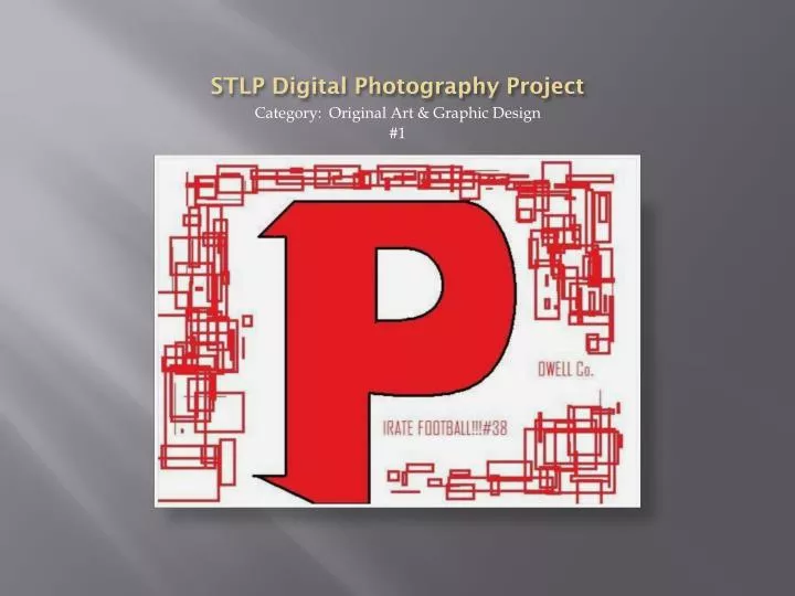 stlp digital photography project