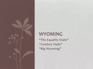 Wyoming