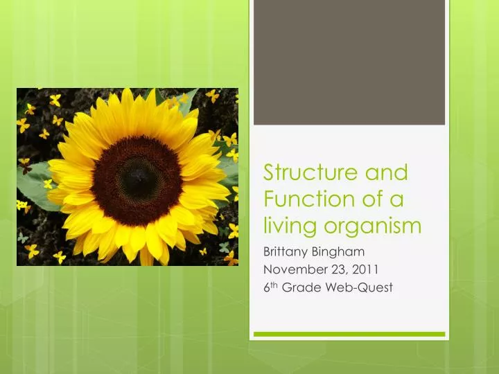 structure and function of a living organism