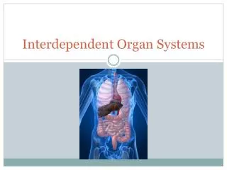 Interdependent Organ Systems