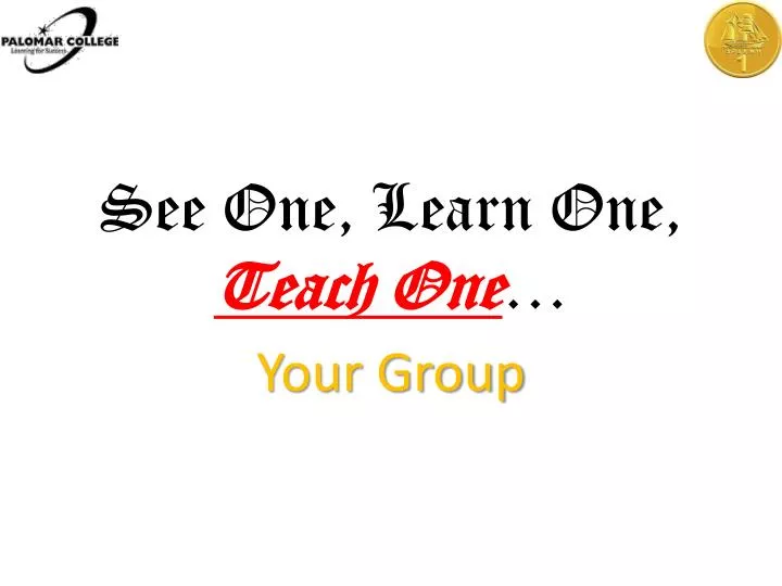 see one learn one teach one