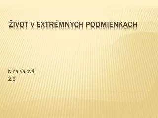 nina valov 2 b