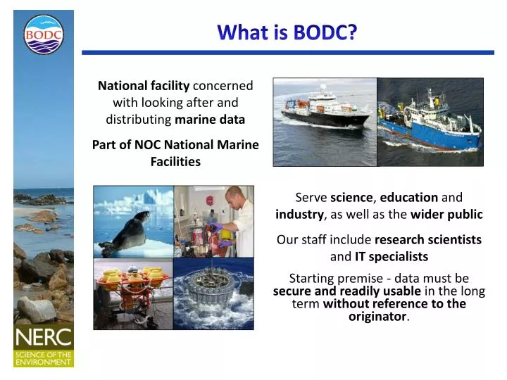 what is bodc