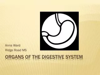 Organs of the Digestive System