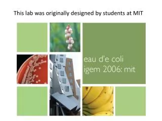This lab was originally designed by students at MIT