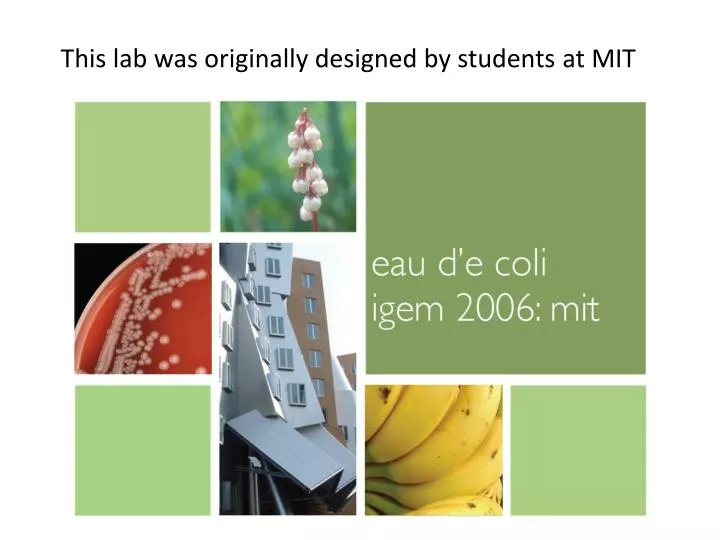 this lab was originally designed by students at mit