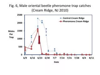 Fig. 6, Male oriental beetle pheromone trap catches (Cream Ridge, NJ 2010)