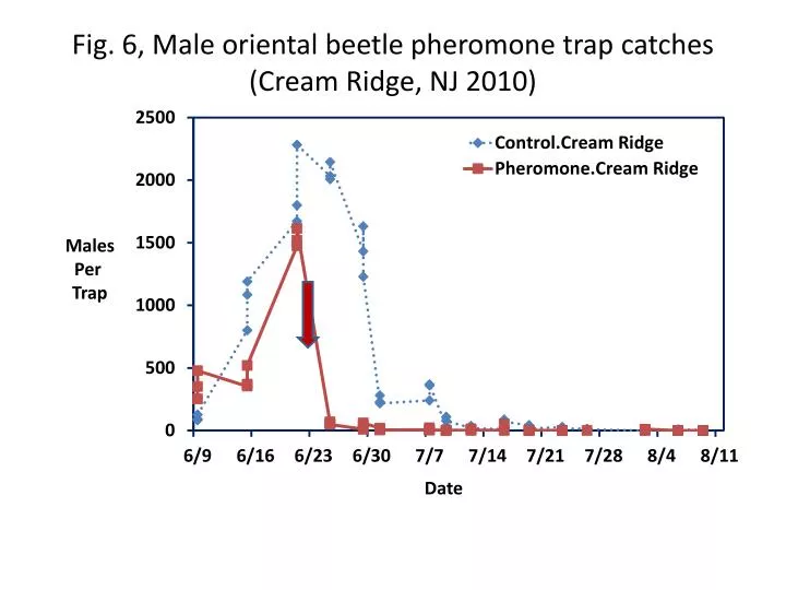 fig 6 male oriental beetle pheromone trap catches cream ridge nj 2010