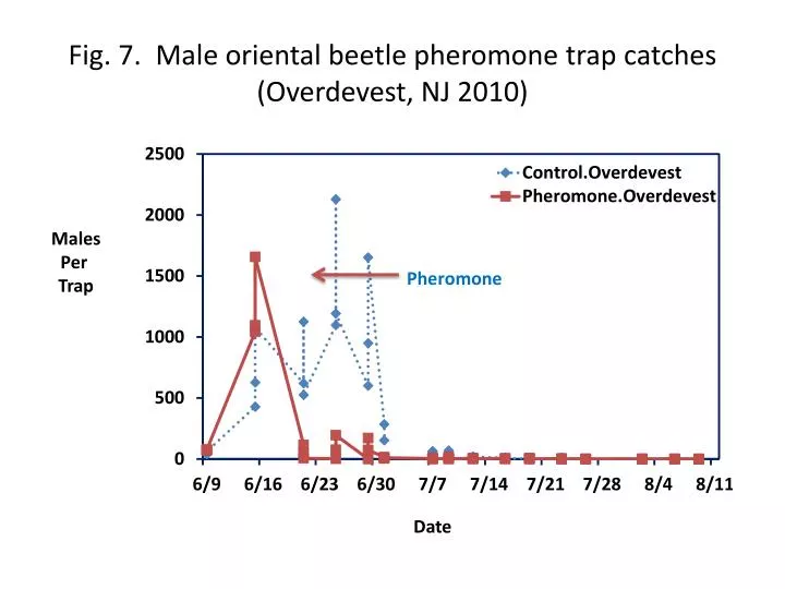 fig 7 male oriental beetle pheromone trap catches overdevest nj 2010