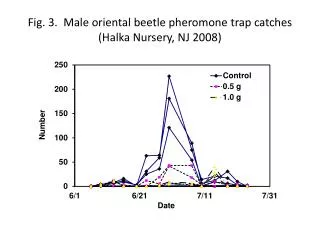 Fig. 3. Male oriental beetle pheromone trap catches ( Halka Nursery, NJ 2008)