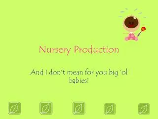 Nursery Production