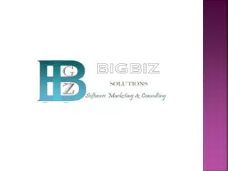 What is bigbiz solutions