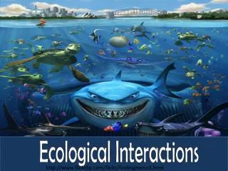 Ecological Interactions