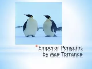 Emperor Penguins by Mae Torrance