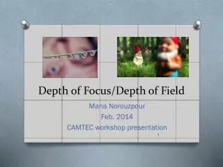 Depth of Focus/Depth of Field