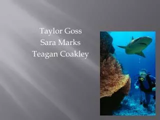 Taylor Goss Sara Marks Teagan Coakley