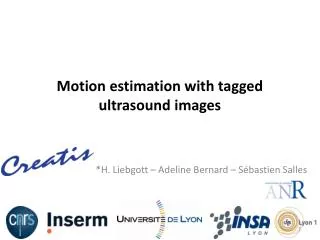 Motion estimation with tagged ultrasound images