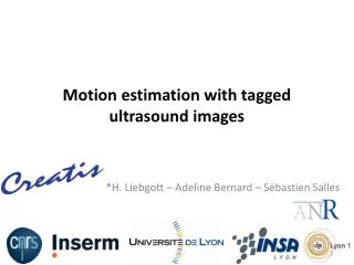 motion estimation with tagged ultrasound images