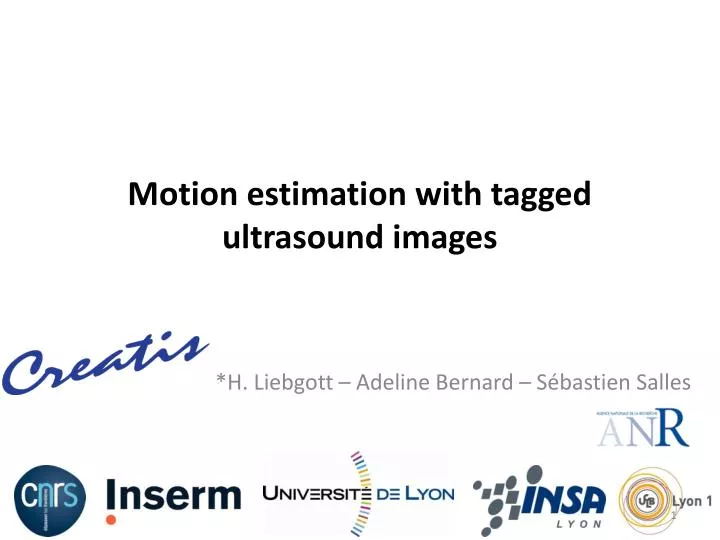 motion estimation with tagged ultrasound images