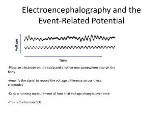 Electroencephalography and the Event-Related Potential