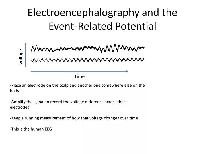 electroencephalography and the event related potential