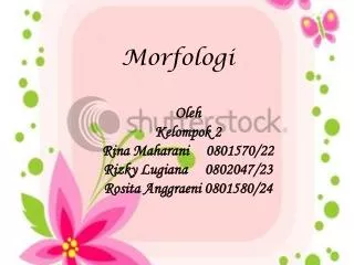 morfologi