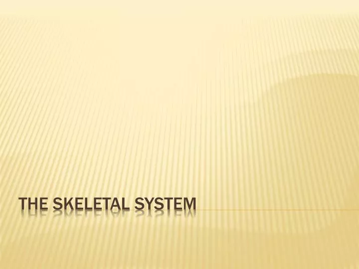 the skeletal system