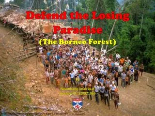 Defend the Losing Paradise (The Borneo Forest)