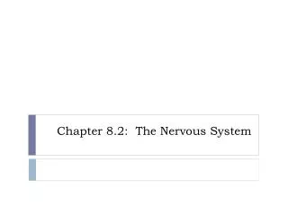 Chapter 8.2: The Nervous System