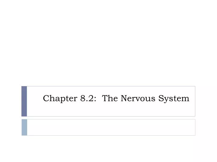 chapter 8 2 the nervous system