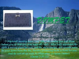 dompet