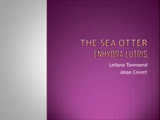 The Sea Otter Enhydra lutris