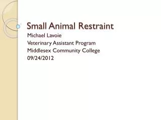 Small Animal Restraint