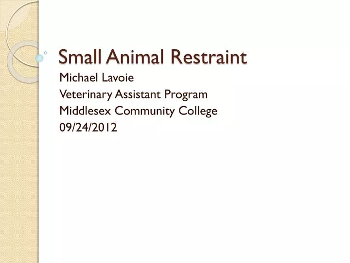 small animal restraint