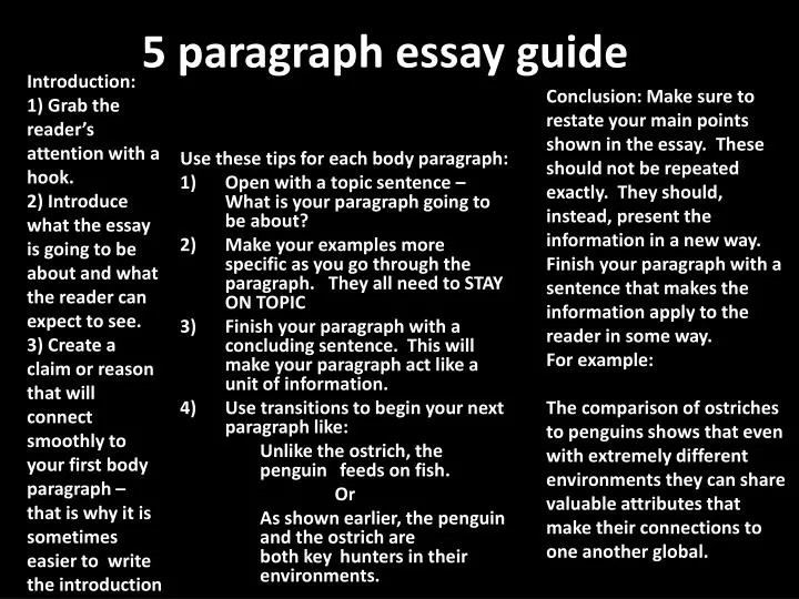 5 paragraph essay guide