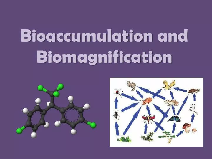 bioaccumulation and biomagnification