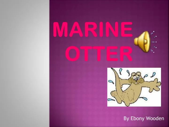 marine otter